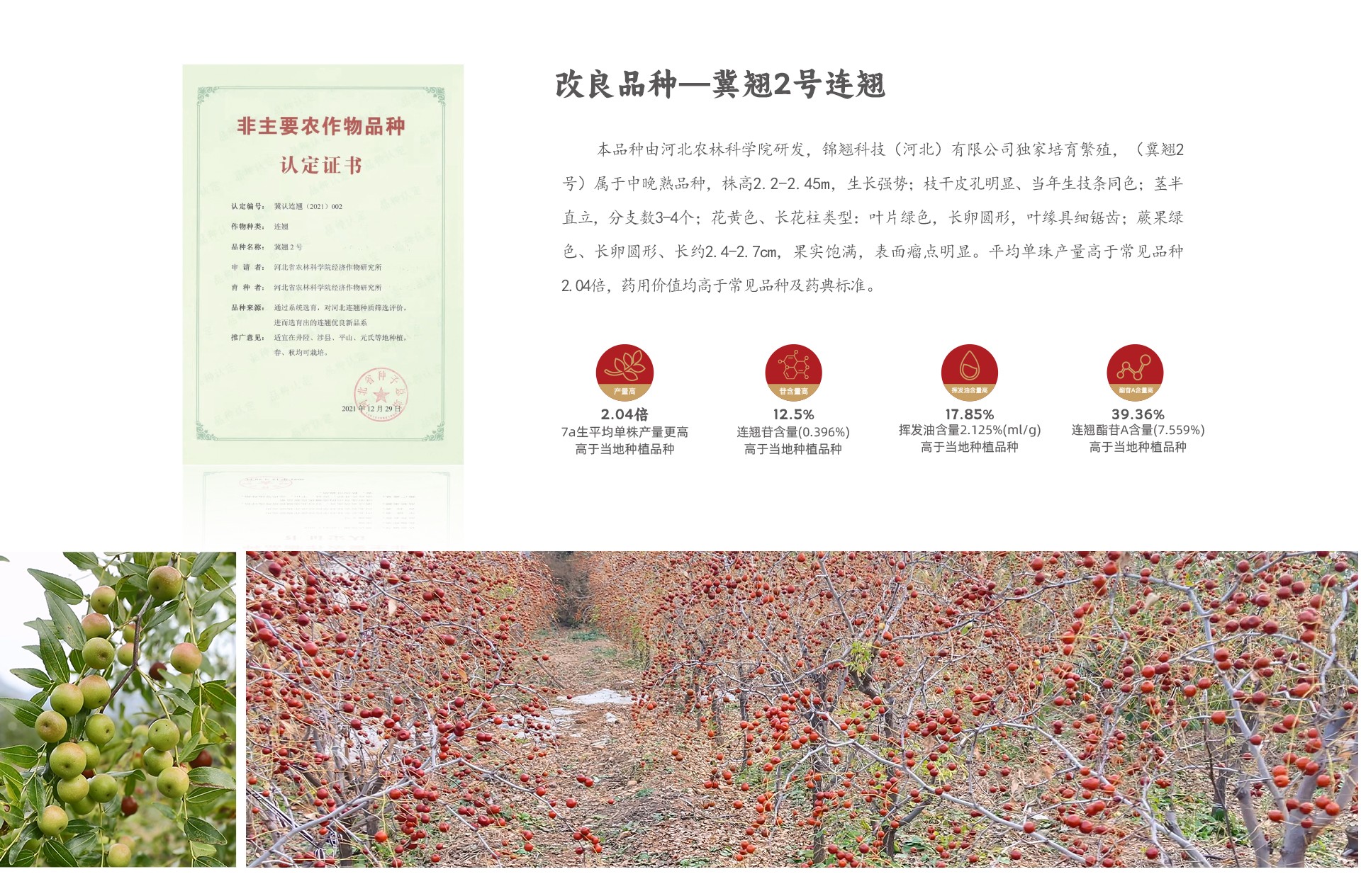 圖片關鍵詞
